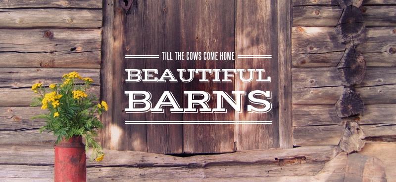 Barns3